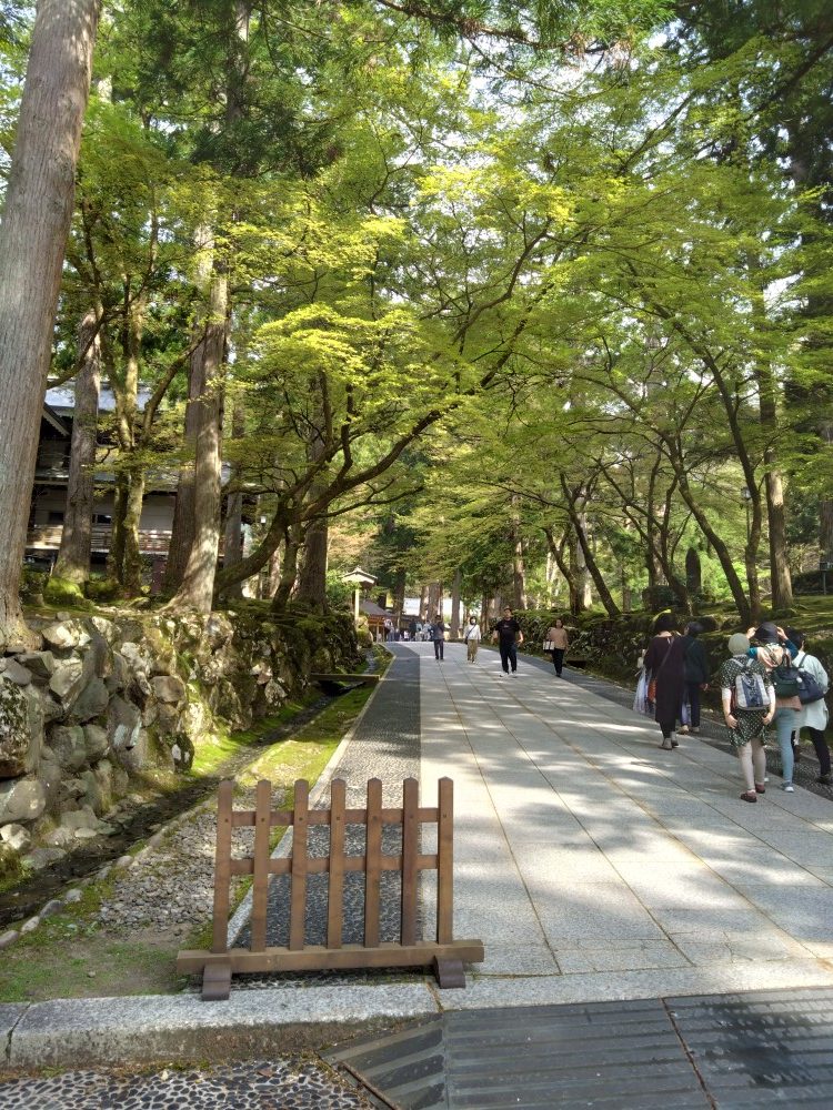 新年を迎え皆々様のご多幸をご祈念申し上げます